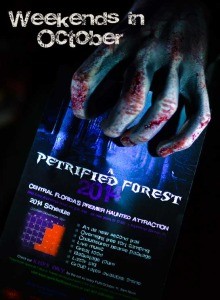 Petrified Forest
