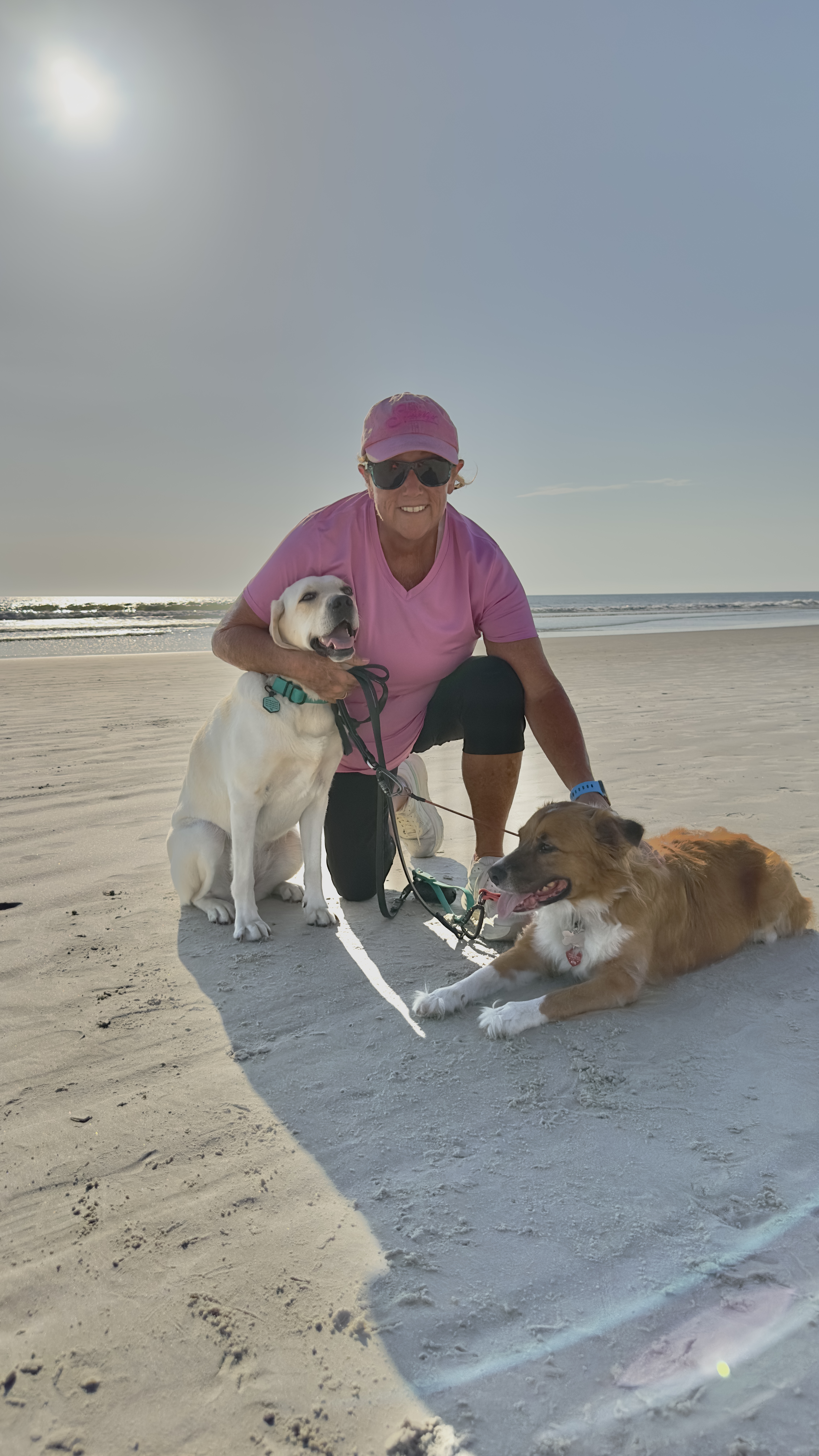The Dogs and Me on NSB The Dogs and Me on NSB
